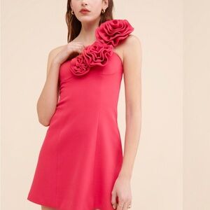 The Wolf Gang Flores Rose Mini Dress